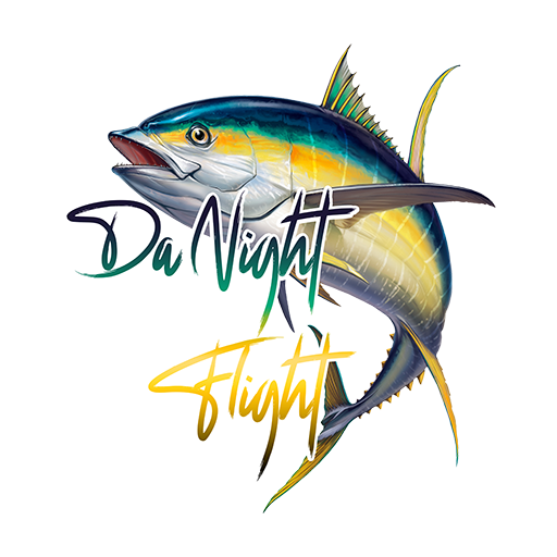 DaNightFlight